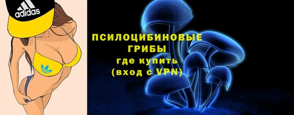 а пвп мука Болотное