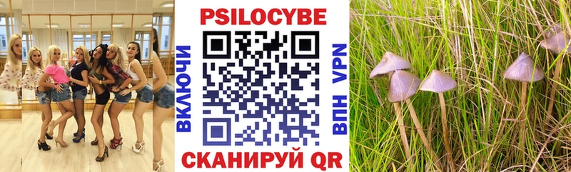 Псилоцибиновые грибы Psilocybe  Новокубанск 